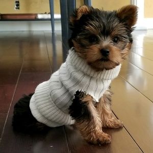 Meet your Posher, Beth